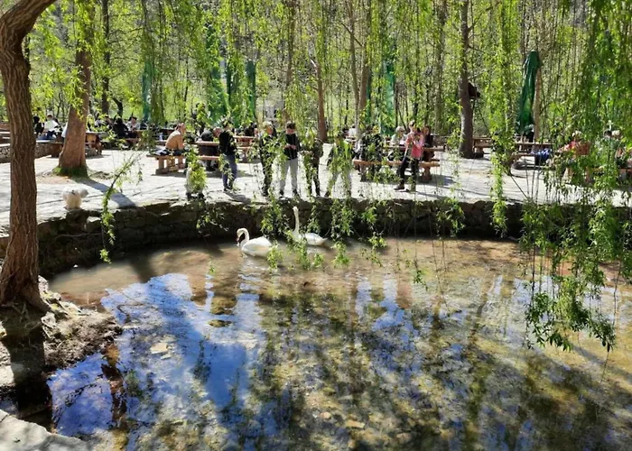 With Terrace Apartman Grebastica